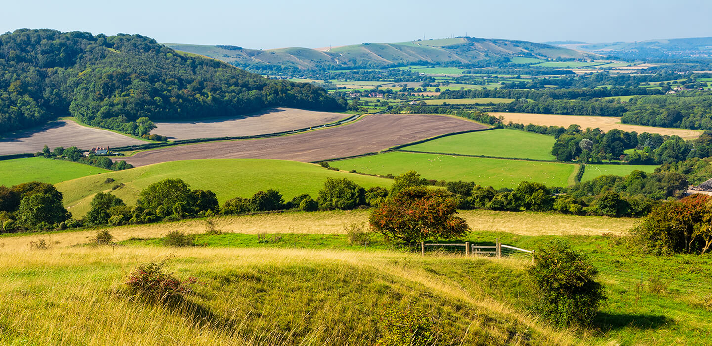 Self Catering in Mid Sussex Inspire Stays