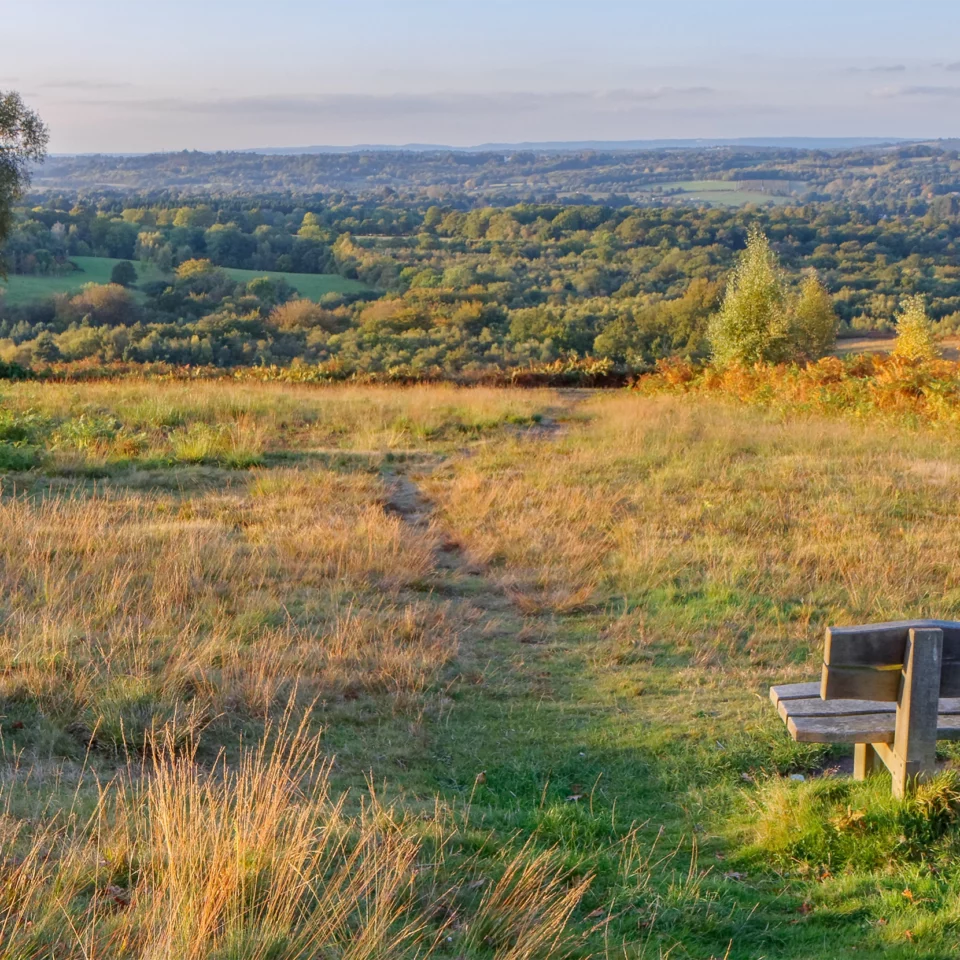Holiday Cottages in the High Weald AONB