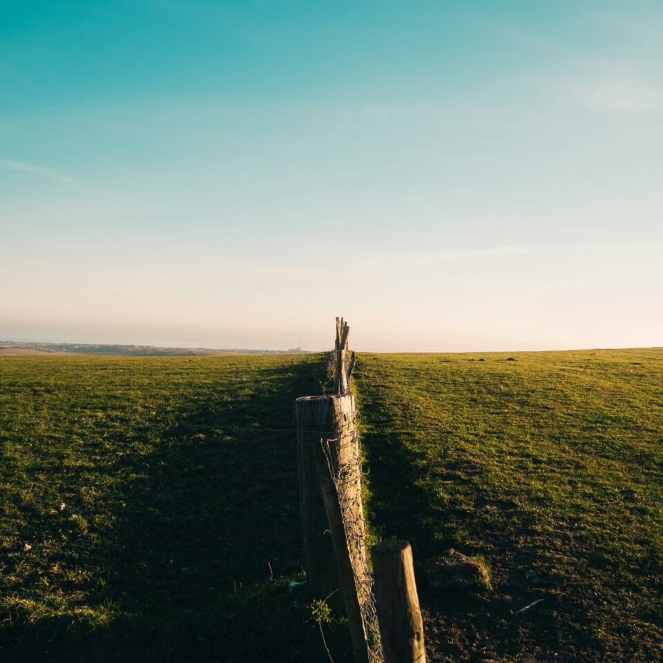 south downs